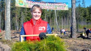 В Крупском районе посадят миллион саженцев деревьев