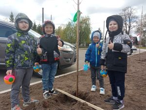 Детсадовцы приняли участие в посадке аллеи в Крупках