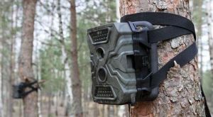 20 фотоловушек помогают Крупскому лесхозу отслеживать тех, кто вывозит мусор в лес
