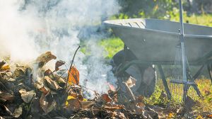Минприроды: сжигание коммунальных отходов, включая растительные отходы, не допускается