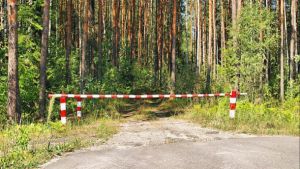 В Крупском райне введено ограничение на посещение лесов