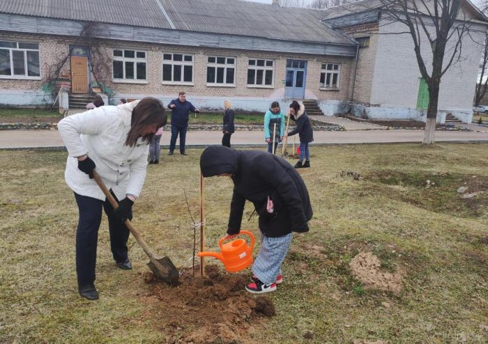 Бобрские и Хотюховские школьники заложили «Сад Надежды»