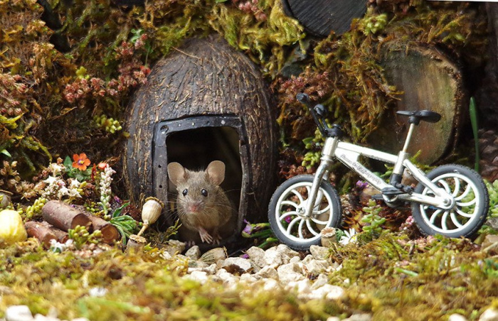 Британец построил у себя во дворе город для мышей (фото)