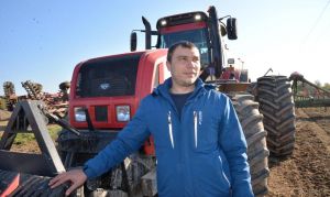 Механизаторы производственной площадки при деревне Дворище трудятся по 15 часов в сутки