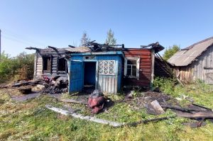 В деревне Боровые на пожаре погиб человек