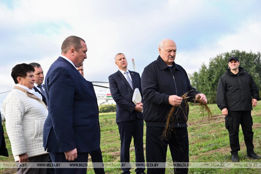 Жесткая критика, но не только. Лукашенко поручил за будущий год кардинально изменить Могилевскую область