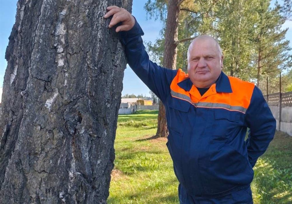 Сотни тысяч деревьев посадил лесовод Холопеничского лесничества Николай Фатеенков