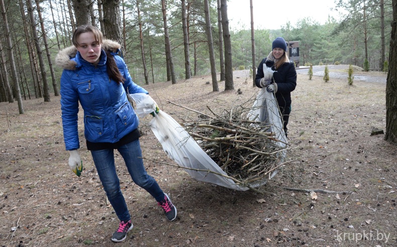 Месячнік па навядзенні парадку на зямлі, добраўпарадкаванні і азеляненні тэрыторый