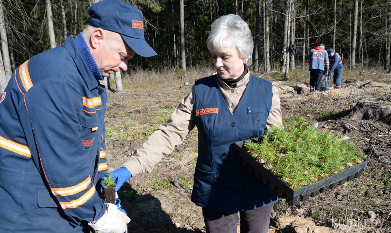 Неделя леса в Крупском районе