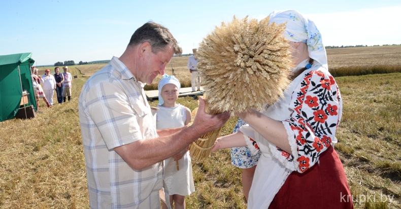 Традиционными «Зажынкамі» крупчане начали массовую уборку зерновых