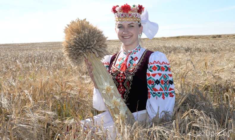 Традиционными «Зажынкамі» крупчане начали массовую уборку зерновых