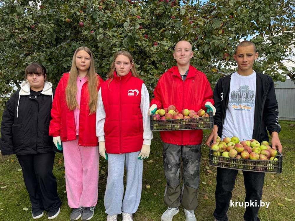 В агрогородке Замки прошла акция «ДОБРО.СТАРШИМ»