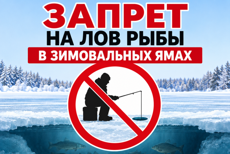 В Беларуси вводится запрет на лов рыбы в зимовальных ямах