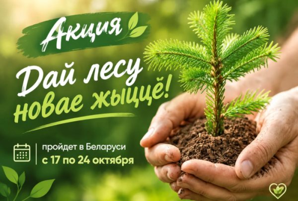 Республиканская акция «Дай лесу новае жыццё» пройдет с 17 по 24 октября