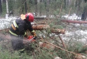 Последствия усиления ветра на территории Крупского района