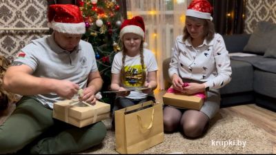 Традиция Дмитрия и Инги Чебиряк &ndash; ежегодно дополнять ёлку новой игрушкой