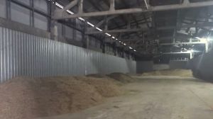 Правоохранители Минской области выявили масштабную схему хищения в сфере АПК