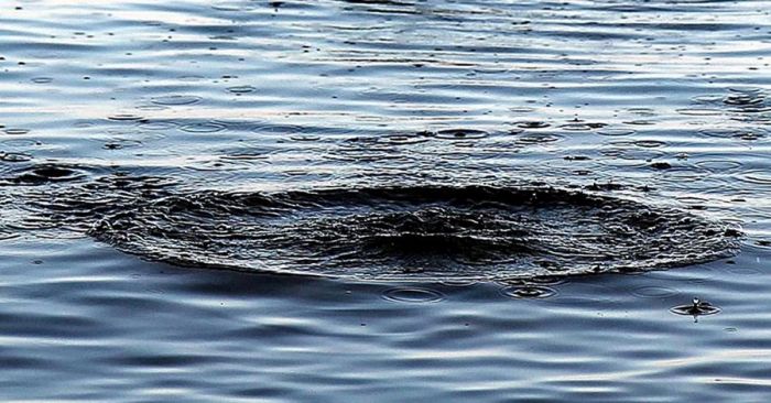 В Минском районе в искусственном водоеме утонул мужчина