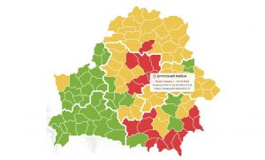 В Крупском районе продолжает действовать запрет на посещение лесов