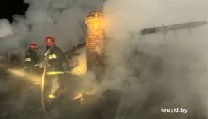 На пожаре в садовом товариществе &laquo;Камыш&raquo;&nbsp;Хотюховского сельсовета погиб человек