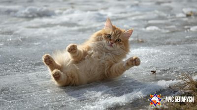 МЧС: 28 января во многих районах сохранится гололед, на дорогах гололедица