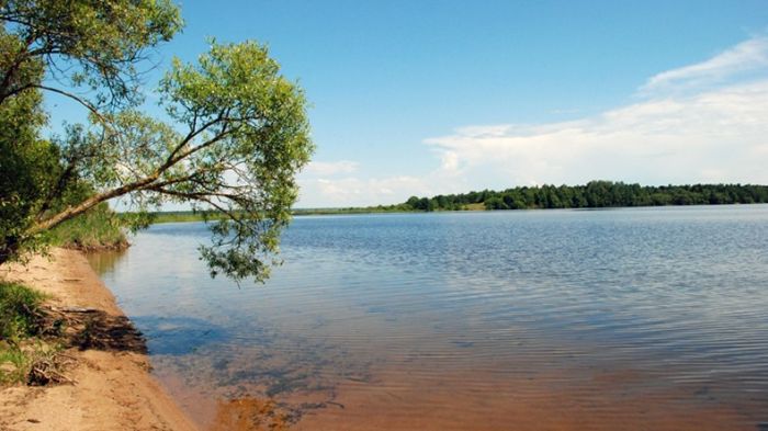 В пяти зонах отдыха на Селяве обнаружены клещи