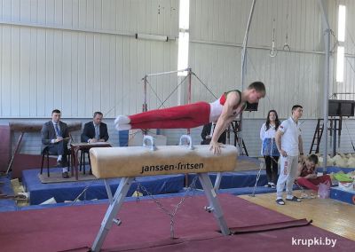 На Олимпийских днях молодежи крупский гимнаст стал серебряным призером