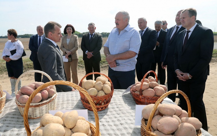 Александр Лукашенко подчеркивает важность комплексного подхода к сельхозработам в период уборочной