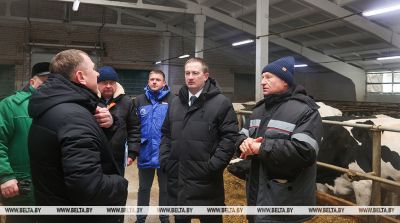 Как содержат телят в МТК "Лошница"? Хозяйство проверил премьер-министр