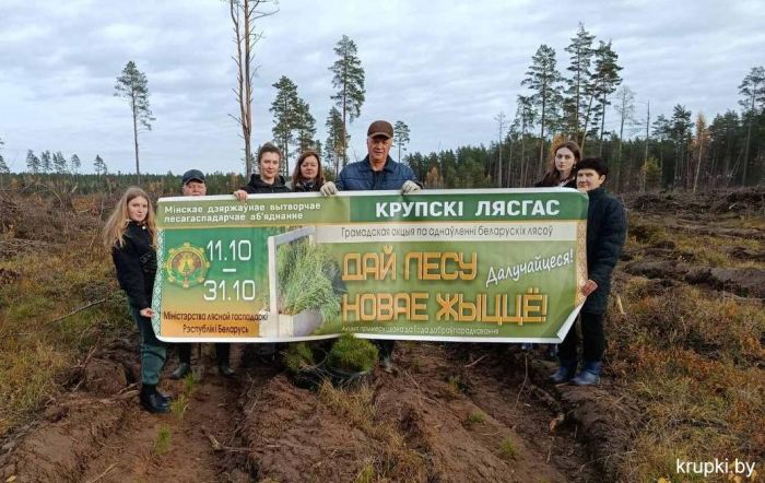 Коллектив прокуратуры присоединился к акции &quot;Дай лесу новае жыццё&quot;