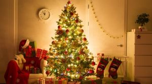 Когда в доме ставить ёлку, чтобы она сработала для семьи на благо?