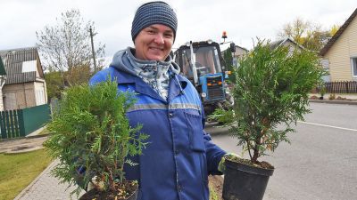 Крупчане активно подключились к Единому дню озеленения