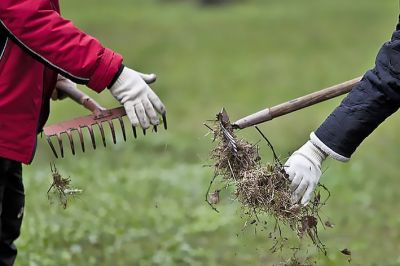 Убрать сорную растительность и мусор на своих участках необходимо по улице Московской в Крупках