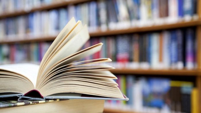 В Крупской библиотеке стартовал проект  «Мы играем, отдыхаем, но читать не забываем»