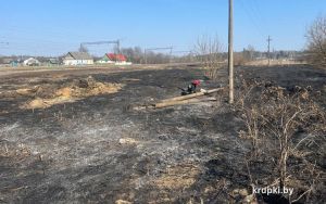 Спасатели выезжали на загорание сухой растительности в поселок Крупский