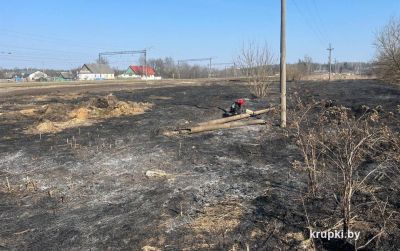 Спасатели выезжали на загорание сухой растительности в поселок Крупский