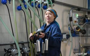 Наталья Шахнова вышла в победители районного соревнования среди операторов машинного доения