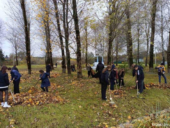 Бобрский сельсовет присоединился к республиканскому субботнику