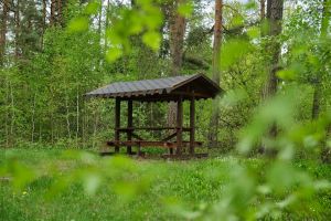 Минская областная инспекция предупреждает: чистота на природе &ndash; требование закона