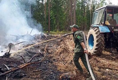 Работники Крупского лесхоза ликвидировали возгорание на территории Бобрского опытно-производственного лесничества