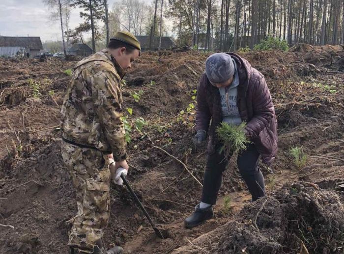 Акция &quot;Дай лесу новую жизнь&quot; в Крупском районе в самом разгаре