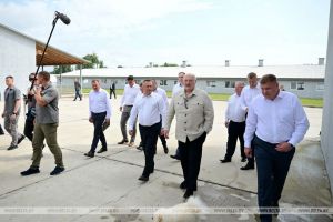 Александр Лукашенко: к 1 сентября в стране не должно быть ни одного бревна, валяющегося на опушке леса