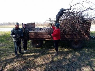 Месячник наведения порядка на земле проходит в Игрушковском сельсовете