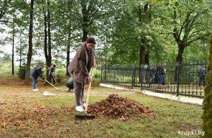 Молодежь Крупщины убрала опавшую листву и обновила памятник жертвам фашизма около деревни Лебедево