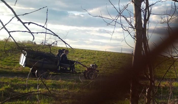 Камера зафиксировала нарушителей природоохранного законодательства в Узнацке