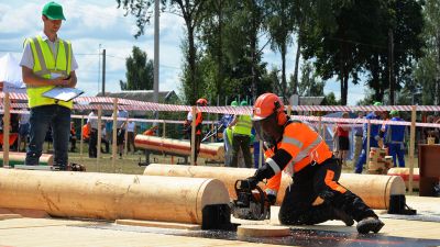 В Крупках прошло областное соревнование &quot;Лесоруб-2021&quot; (фото)