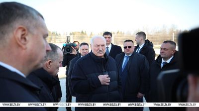 Лукашенко ориентирует на более быстрое развитие племенного животноводства в Беларуси