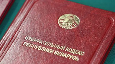 Законопроект об изменении Избирательного кодекса сенаторы рассмотрят 30 января