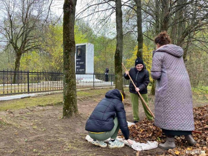 Крупский сельсовет присоединился к субботнику
