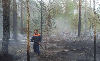 В Крупках по улице Армейской горел лес